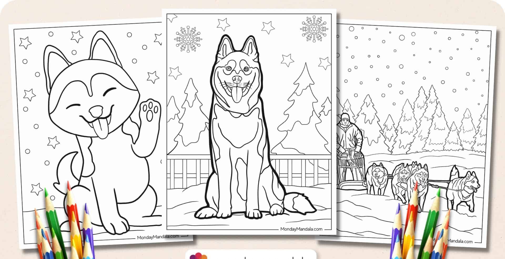 Husky coloring pages